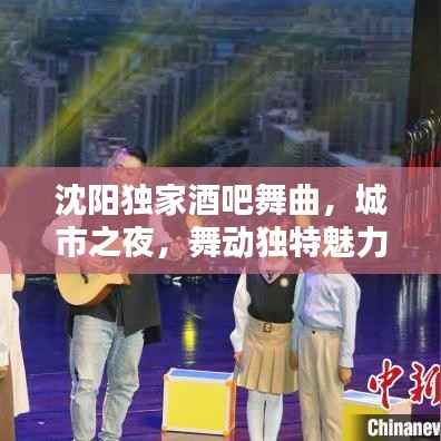 沈阳独家酒吧舞曲，城市之夜，舞动独特魅力