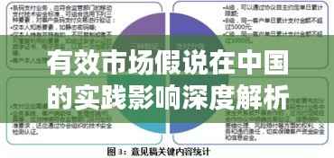 有效市场假说在中国的实践影响深度解析