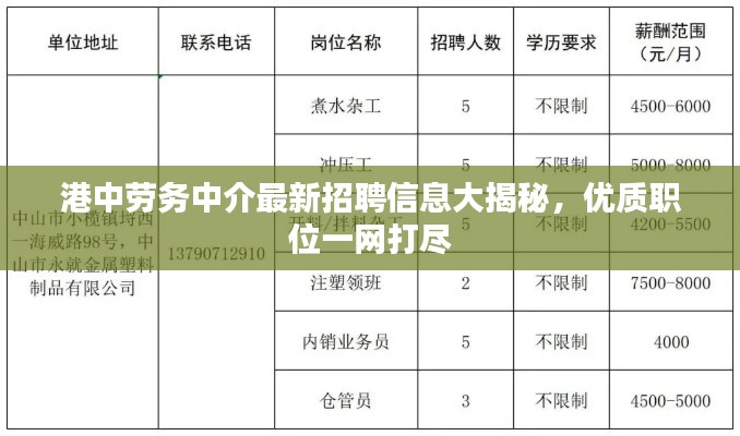 港中劳务中介最新招聘信息大揭秘，优质职位一网打尽