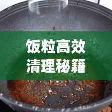 饭粒高效清理秘籍，轻松打造洁净环境指南