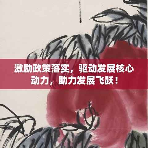激励政策落实，驱动发展核心动力，助力发展飞跃！