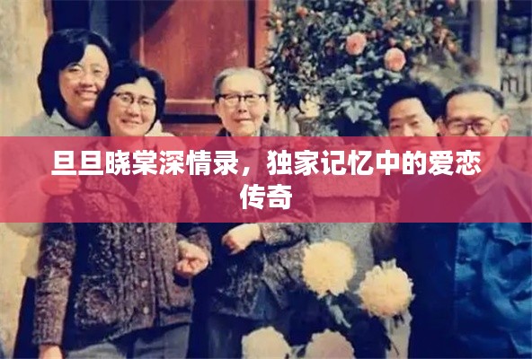 旦旦晓棠深情录，独家记忆中的爱恋传奇