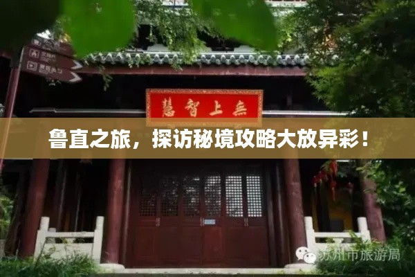 栖冲业简 第5页