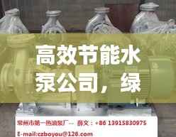 高效节能水泵公司,绿色发展的先锋领航者