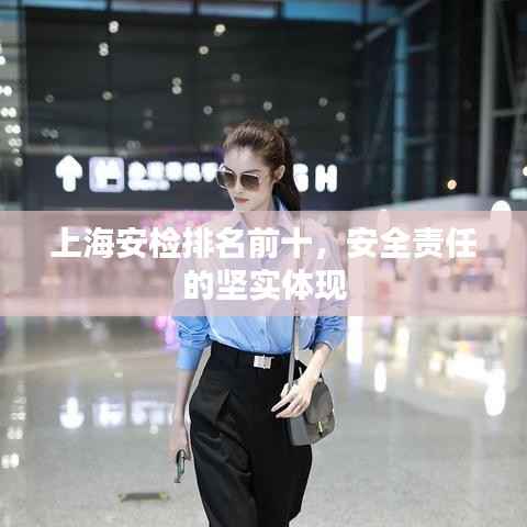 上海安检排名前十，安全责任的坚实体现