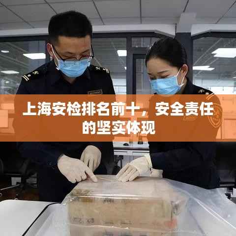上海安检排名前十,安全责任的坚实体现