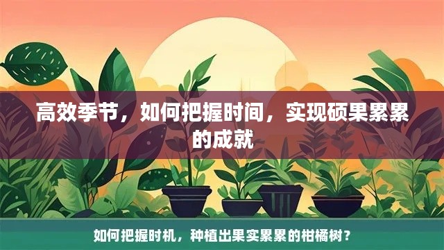 高效季节，如何把握时间，实现硕果累累的成就