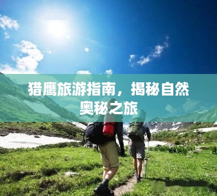 猎鹰旅游指南，揭秘自然奥秘之旅