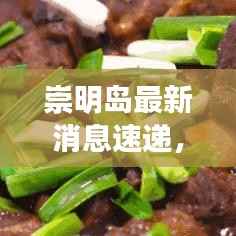 崇明岛最新消息速递，今日更新资讯！