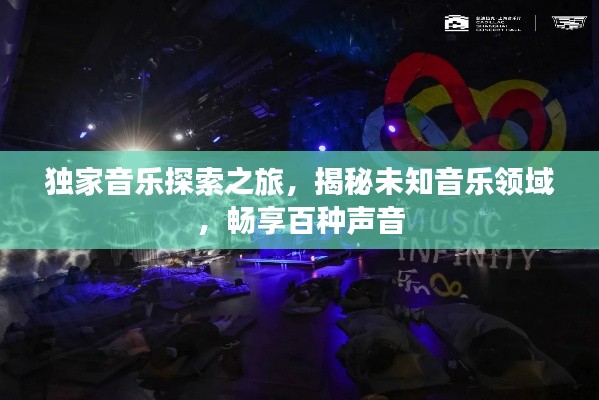 独家音乐探索之旅，揭秘未知音乐领域，畅享百种声音