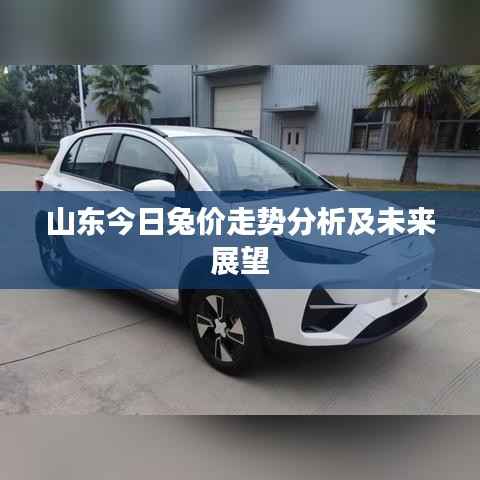 山东今日兔价走势分析及未来展望