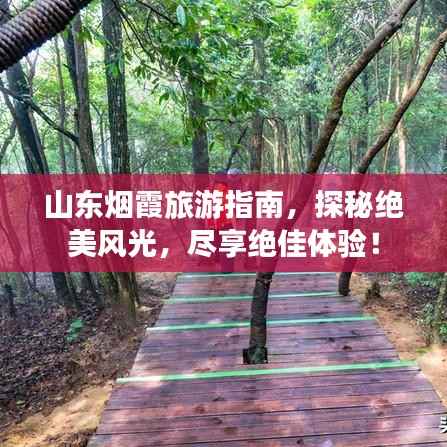 山东烟霞旅游指南，探秘绝美风光，尽享绝佳体验！