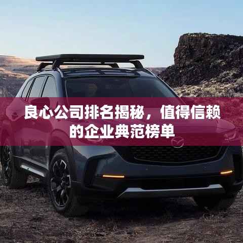 良心公司排名揭秘,值得信赖的企业典范榜单