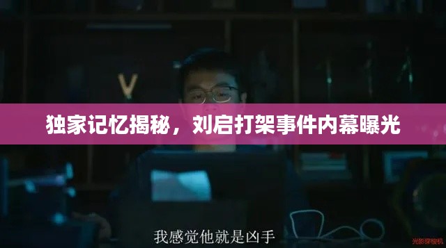 独家记忆揭秘,刘启打架事件内幕曝光