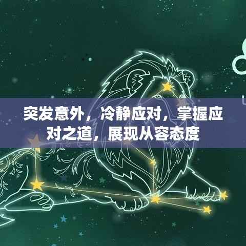 突发意外，冷静应对，掌握应对之道，展现从容态度