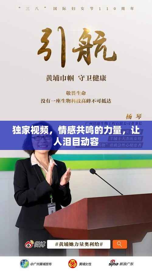 独家视频，情感共鸣的力量，让人泪目动容