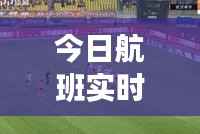 今日航班实时动态更新，运营情况及最新头条新闻