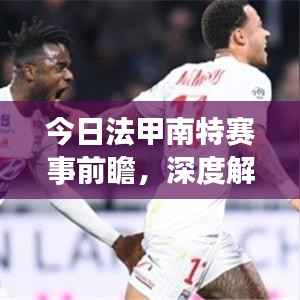 今日法甲南特赛事前瞻,深度解析与预测分析