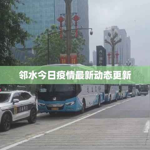 邻水今日疫情最新动态更新
