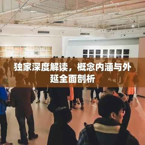 独家深度解读,概念内涵与外延全面剖析