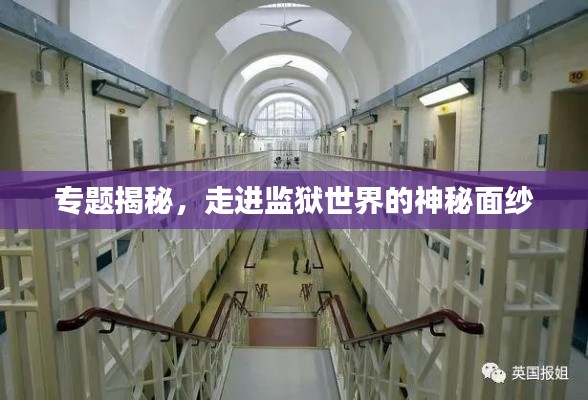专题揭秘,走进监狱世界的神秘面纱