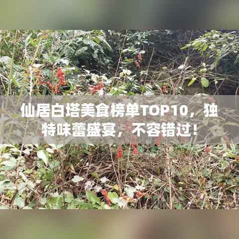 仙居白塔美食榜单TOP10，独特味蕾盛宴，不容错过！
