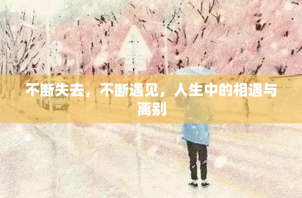 不断失去，不断遇见，人生中的相遇与离别
