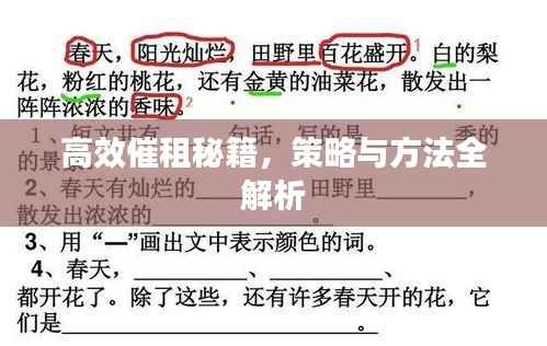 高效催租秘籍,策略与方法全解析