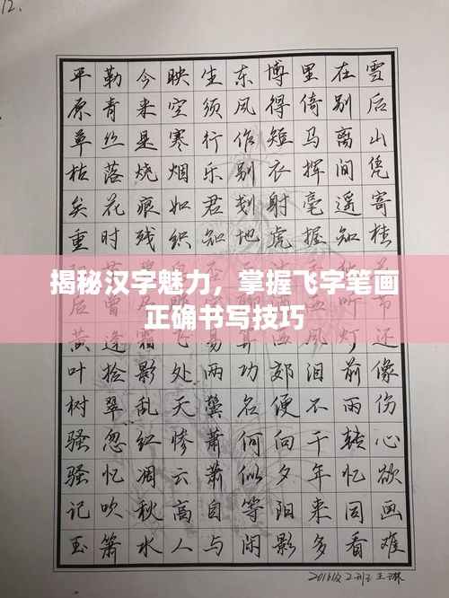 揭秘汉字魅力，掌握飞字笔画正确书写技巧