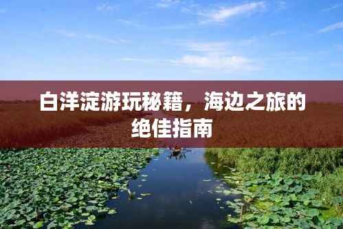 白洋淀游玩秘籍,海边之旅的绝佳指南