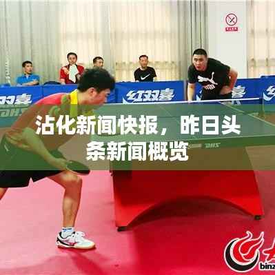 沾化新闻快报，昨日头条新闻概览