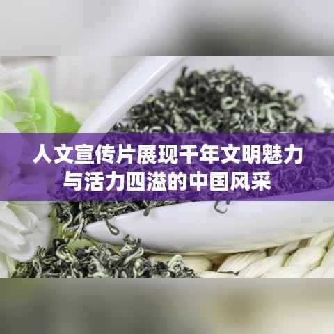 人文宣传片展现千年文明魅力与活力四溢的中国风采
