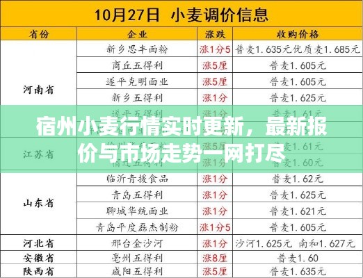宿州小麦行情实时更新,最新报价与市场走势一网打尽