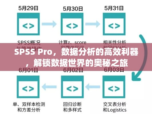 SPSS Pro,数据分析的高效利器,解锁数据世界的奥秘之旅