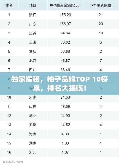 独家揭秘，柚子品牌TOP 10榜单，排名大揭晓！