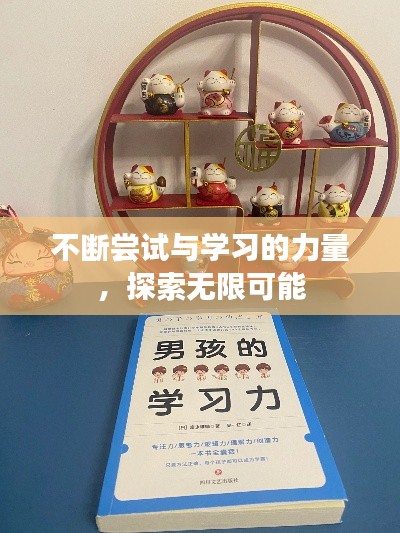 不断尝试与学习的力量,探索无限可能