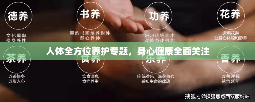 人体全方位养护专题,身心健康全面关注