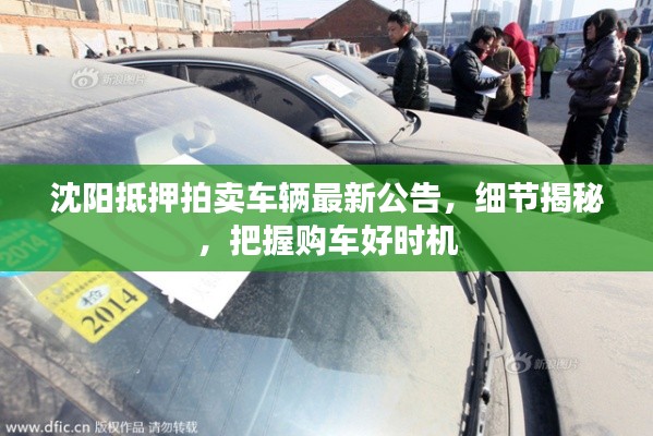 将机就机 第3页