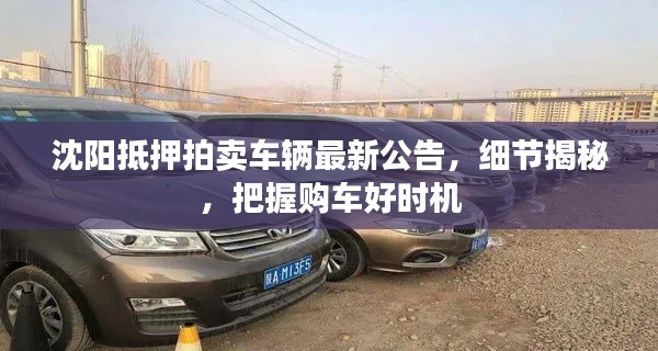 沈阳抵押拍卖车辆最新公告,细节揭秘,把握购车好时机