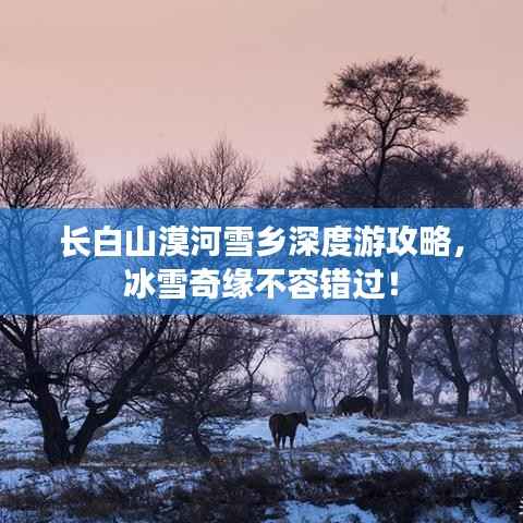 长白山漠河雪乡深度游攻略，冰雪奇缘不容错过！
