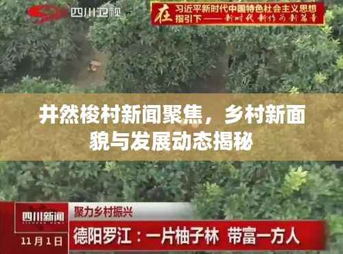井然梭村新闻聚焦，乡村新面貌与发展动态揭秘