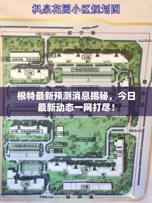 根特最新预测消息揭秘，今日最新动态一网打尽！