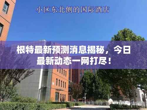 根特最新预测消息揭秘,今日最新动态一网打尽!