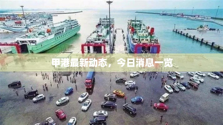 甲港最新动态,今日消息一览