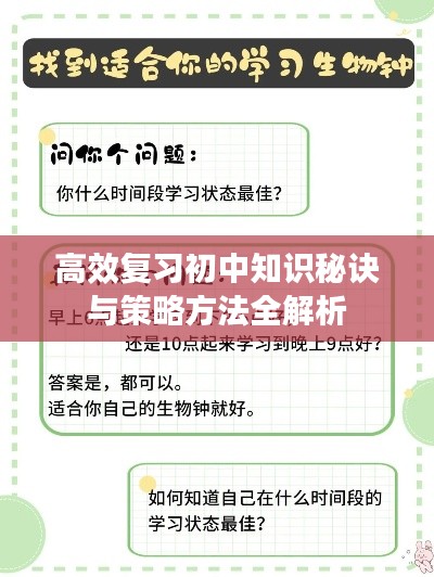 高效复习初中知识秘诀与策略方法全解析