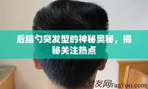 后脑勺突发型的神秘奥秘，揭秘关注热点