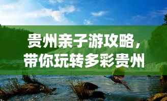 贵州亲子游攻略,带你玩转多彩贵州