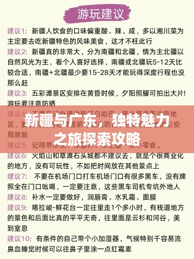 新疆与广东，独特魅力之旅探索攻略
