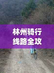 林州骑行线路全攻略，最新指南，带你畅游骑行之旅！