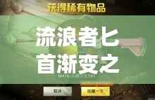 流浪者匕首渐变之色市场价解析，最新行情一览